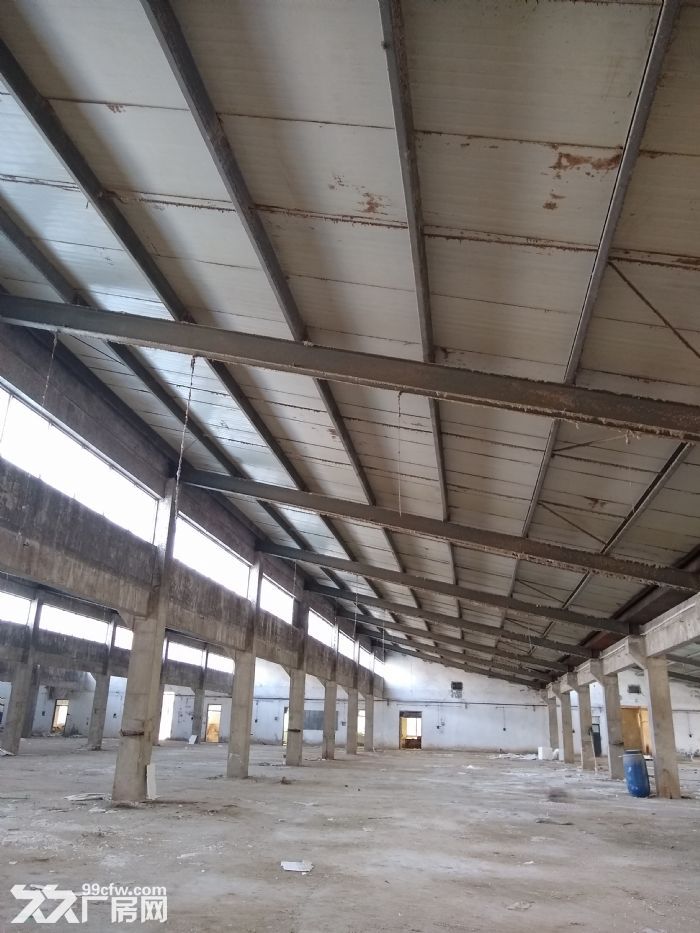 厂房出租，价格实惠，欢迎实地考察-图4
